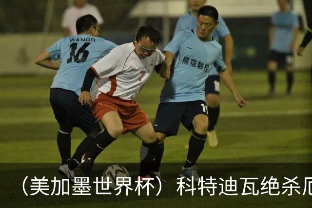 （美加墨世界杯）科特迪瓦绝杀厄瓜多尔 瑞典5:1大胜突尼斯